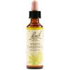 SCHWABE PHARMA ITALIA Srl WHITE CHEST BACH ORIG 20ML