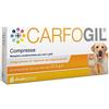 SHEDIR PHARMA Srl Unipersonale CARFOGIL 30CPR