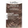 ZETA FARMACEUTICI SpA Euphidra Color PRO XD 610 Biondo Scuro Cenere