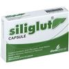 SHEDIR PHARMA Srl Unipersonale Siliglut Integratore 20 Capsule