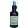 SPAZIO ECOSALUTE Srl NEEM OLIO 50ML SEMI