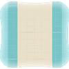 COLOPLAST SpA Comfeel Plus Medicazione 10x10cm 10 Pezzi