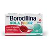 ALFASIGMA SpA NEOBOROCILLINA GOLA JUN 15PST FR