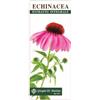 DR.GIORGINI SER-VIS Srl Dr. Giorgini Echinacea Estratto Integrale Integratore Difese Immunitarie 200 ml