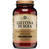 SOLGAR IT. MULTINUTRIENT SpA LECITINA SOIA 100PRL