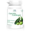 ALGEM NATURA Srl Algem Natura Garcinia Cambogia Integratore Equilibrio Peso Corporeo 60 Compresse