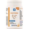 LABORATOIRE NUTERGIA ERGYCEBE 90 Cps 43g