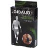 DUAL SANITALY SpA SOC.BENEFIT GIBAUD SPORT BRAC TENNIS ELBOW