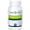 ERBA VITA GROUP SpA CARBONE VEGETALE 100 TAVOLETTE