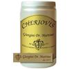 DR.GIORGINI SER-VIS Srl CHERIOVIS 400PAST