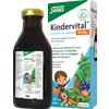 SALUS HAUS Gmbh & Co KG Salus - Kindervital Fruity 250 ml - Integratore Di Calcio E Vitamine