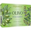 ERBAMEA Srl OLIVO PRESS CONTROL 36CPS
