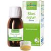 BOIRON Srl RIBES NIGRUM MG 60ML INT
