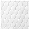 COLOPLAST SpA BIATAIN 33503 FIBER MED 10X10