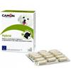 CAMON SpA HYBRID 30CPR