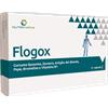 AQUA VIVA Srl FLOGOX 30CPS