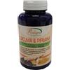 NATUR-FARMA Srl CURCUMA&PIPERINA RAIHUEN120CPR
