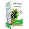 ARKOFARM Srl ARKOCPS ANANAS 130CPS