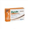 GIULIANI SpA BIOSCALIN SOLE 30 + 10 COMPRESSE