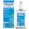 WELEDA ITALIA Srl WELEDA Deo Spray Salvia 100ml