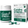 INNOVET ITALIA Srl CONDROSTRESS+CAT 30 Cps