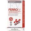 ERBA VITA GROUP SpA FERRO EV RETARD 30CPR