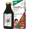 SALUS HAUS Gmbh & Co KG Salus - Floradix Kids 250 ml Gusto Lampone - Integratore Di Ferro E Vitamine