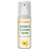 NATURWAREN ITALIA Srl DR THEISS ARNICA SPRAY 100ML