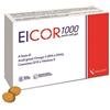 NALKEIN ITALIA Srl EICOR 1000 30SOFTGEL