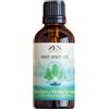 MY BENEFIT Srl ZEN MINT SPIRIT OIL 100ML