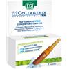 ESI Srl Esi Biocollagenix Trattamento Viso Concentrato Anti Età 1 Ampolla