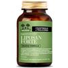 SALUGEA (RELOAD Srl) SALUGEA LIPOSAN FORTE NF 60CPS