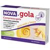 NOVA ARGENTIA Srl IND. FARM NOVA GOLA Miele Limone 20 Cpr