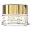 OPTIMA NATURALS Srl COLLAGENE Marino Crema Viso 50ml