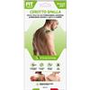 D.FENSTEC Srl FIT Cerotto Spalla10pz