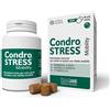 INNOVET ITALIA Srl CONDROSTRESS Mobility 90Chews