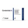 MASTELLI Srl CONDROTIDE HA Sir.Intra-Art.2%