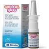 BIOTRADING Srl UNIPERSONALE GRINSOL SPRAY NASALE 30ML