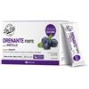 MARCO VITI FARMACEUTICI SpA DR VITI DRENANTE MIRT 28STICK