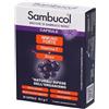 NAMED Srl SAMBUCOL IMMUNOFORTE 30CPS
