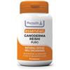PHARMALIFE RESEARCH Srl GANODERMA PURO 90CPR