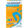 EUROSPITAL SpA HALIBORANGE FOSFOENERGY10STICK