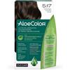 ZUCCARI Srl ALOECOLOR 5,17 CAST CHI NOCE