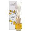 HP ITALIA Srl DIFFUSORE BASTONCINI 100ML AGR