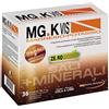 MGK VIS ZERO ZUCCHERI MAGNESIO E POTASSIO GUSTO COLA E LIME 36 BUSTE DA 4G