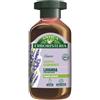 SPERLARI Srl ANTICA ERB SHAMPOO LAVAND250ML