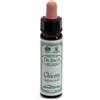 SANTIVERI Sa AINSWORTHS CHICORY 10ML