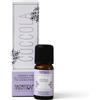 HP ITALIA Srl SINERGIA+OLI ESS COCCOLA 10ML