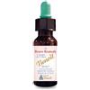 ALCHIMIA BENOIT Srl BRAVE REMEDY 28ML