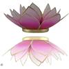 TRIMONTIUM tl12020g portacandele in Forma di Una Conchiglia dreiblaettrigen Fiore di Loto, Capiz, 14 x 14 x 8 cm, Bianco/Rosa, 14 x 14 x 8 cm